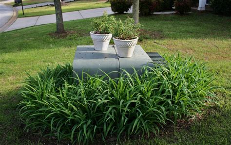 green electrical box outside cover|outdoor electrical box covers landscaping.